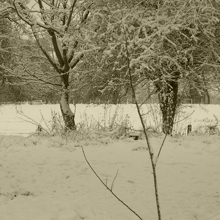 Appartamento Glanwye Hay-On-Wye Esterno foto