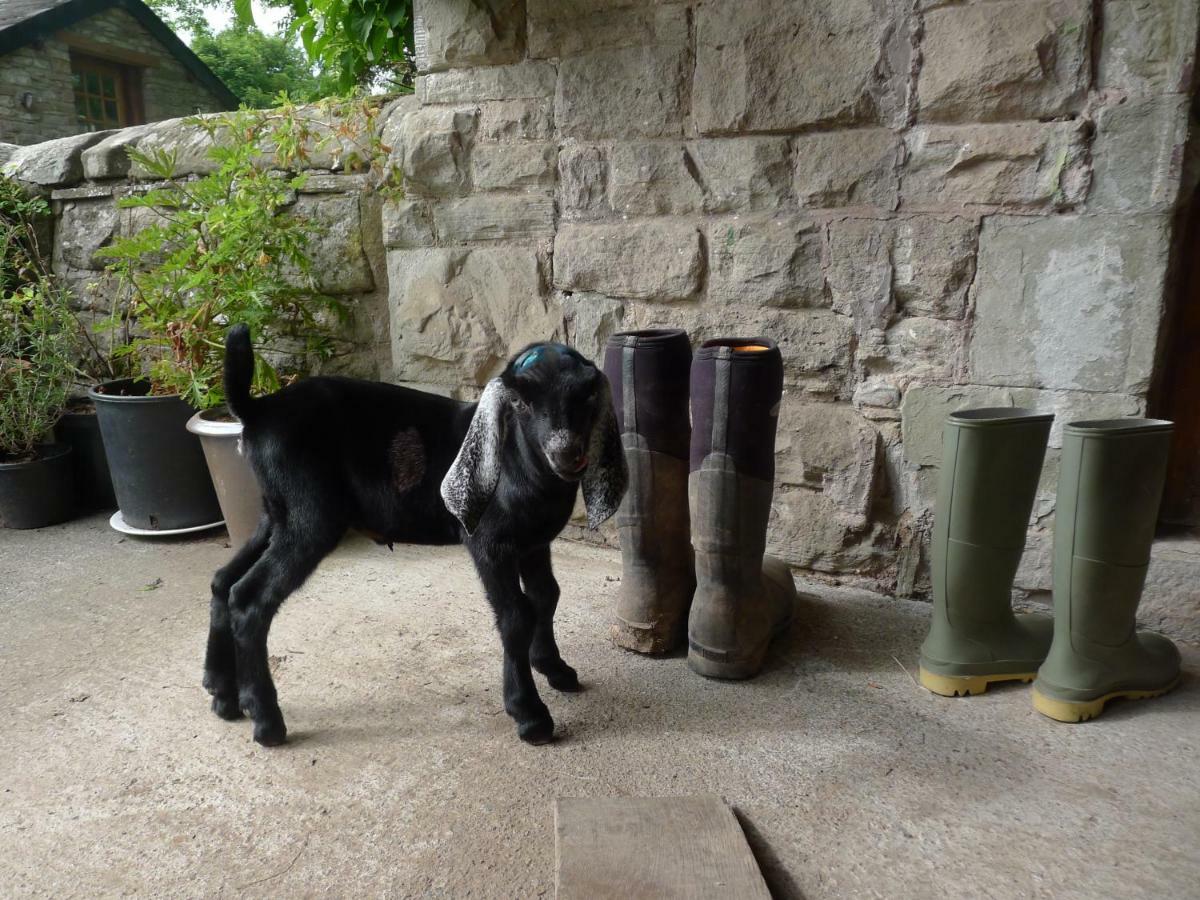 Appartamento Glanwye Hay-On-Wye Esterno foto