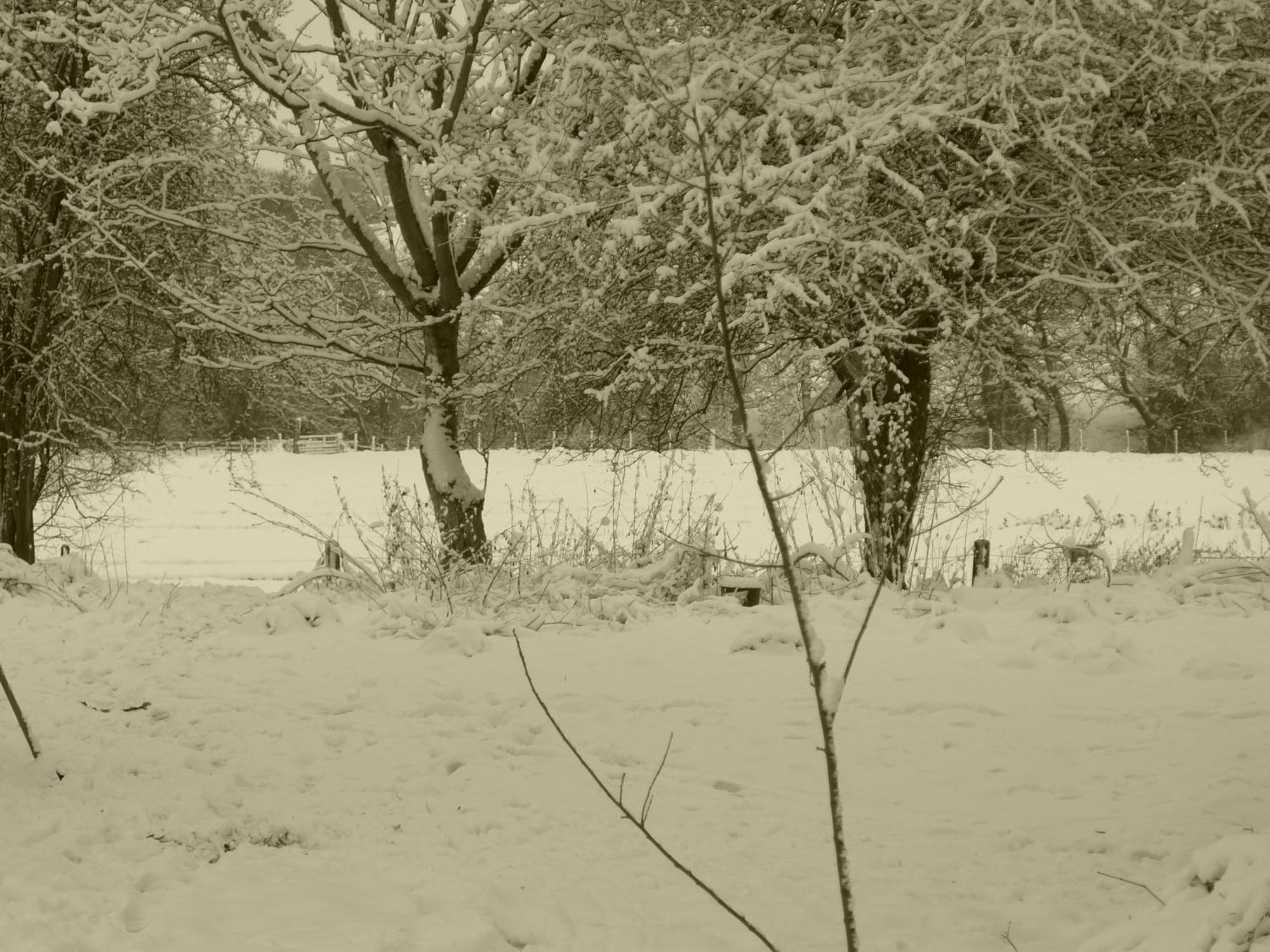 Appartamento Glanwye Hay-On-Wye Esterno foto